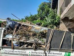 Best Moving and Downsizing Cleanouts  in Teague, TX